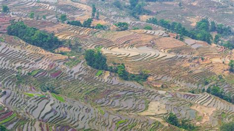 Agriculture Ppt Background 的图像结果