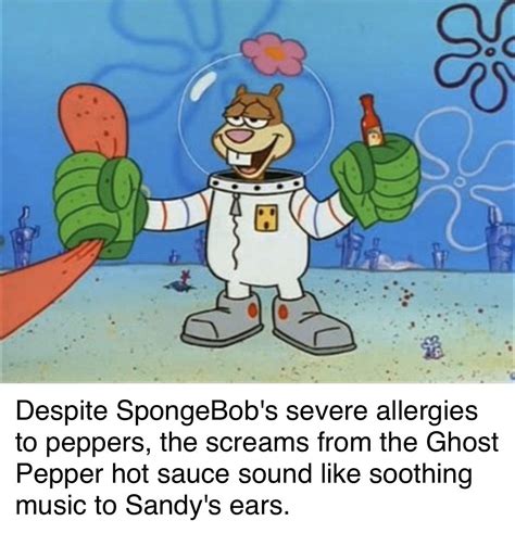 Hot Sauce Spongebob at Salvador Kress blog