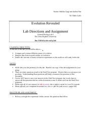 Graph of Evolution Lab Write Up 的图像结果