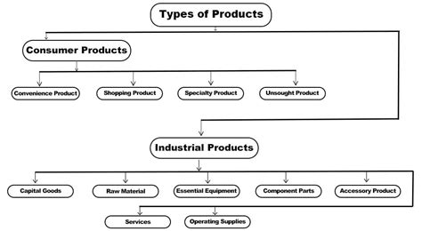 What Is a Product Category? Definition, Examples & FAQs
