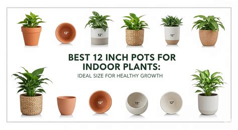 Best 12 Inch Pots for Indoor Plants: Ideal Size for Healthy Growth – My ...