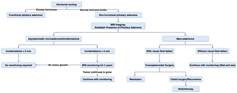 Pituitary Adenomas: From Diagnosis to Therapeutics