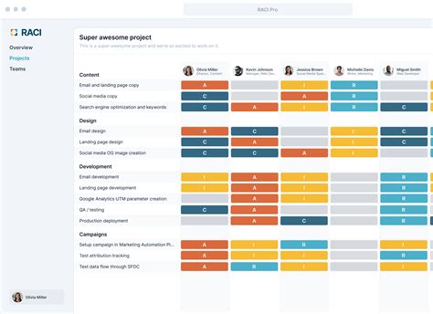 Image result for Software Development Outsource Raci