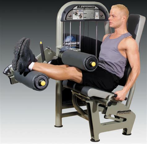 Leg Fitness Exercises on Equipment: Roman Chair, Leg Curls and Squats ...
