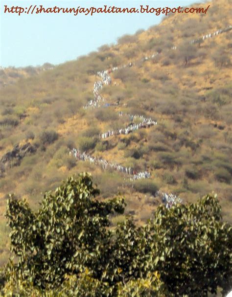 palitana shatrunjay adinath bhagwan photo