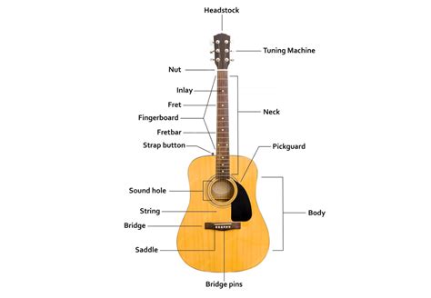Guitar Anatomy – Different Parts of the Guitar | Artium Academy