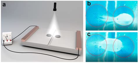 A Light-Powered Micropump with Dynamic Collective Behavior for Reparation