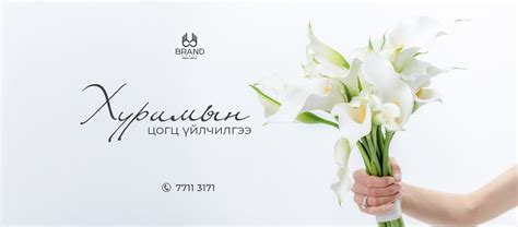 Auto Forward 的图像结果