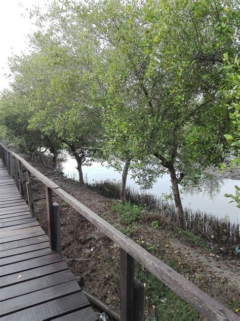 BANYUURIP MANGROVE CENTER (BMC) (2026) All You Need to Know BEFORE You ...