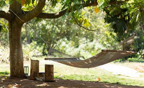 Photo Gallery | The Mangifera