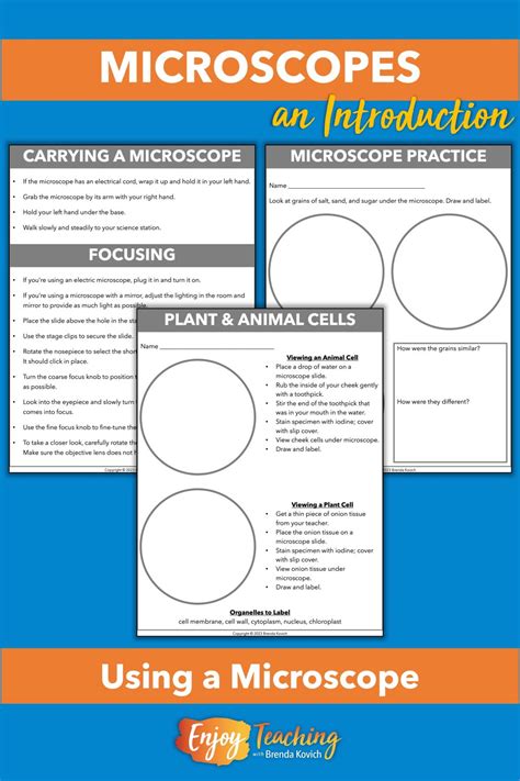 Image result for How To Use A Microscope For Elementary Students