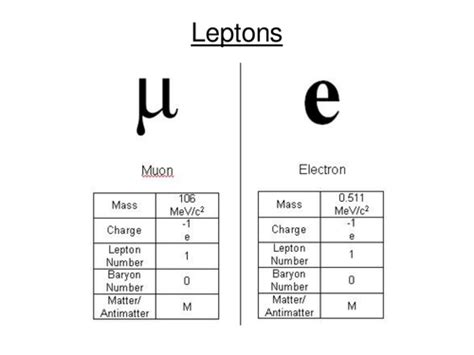 Image result for Types of Leptons