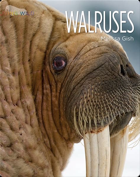 Walruses Book by Melissa Gish | Epic