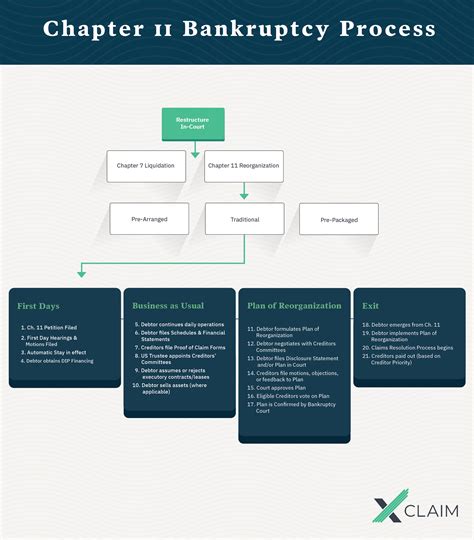 Explaining Chapter 11 Bankruptcy 的图像结果