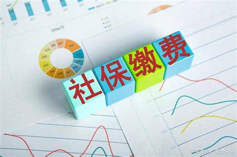 @贵州灵活就业人员 本月开始，社保费交由税务部门统一征收_缴费人