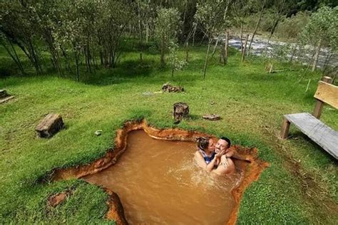 Espeletia expedition - Ibague | Tripadvisor