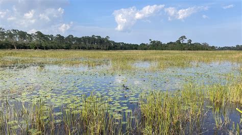 Halpatiokee Regional Park | Stuart – Florida Hikes