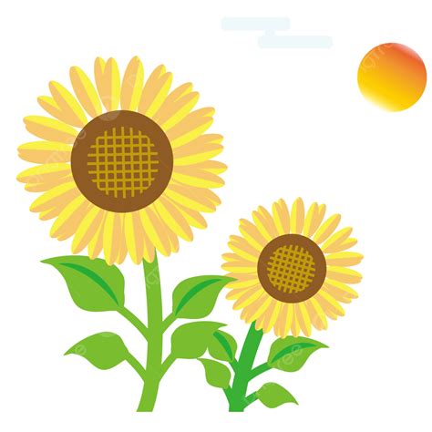 Sunflower Clipart PNG Images, Sun Sunflower Vector Material, Sunflower ...