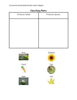 Image result for CLIL Lesson On Classifying Plants