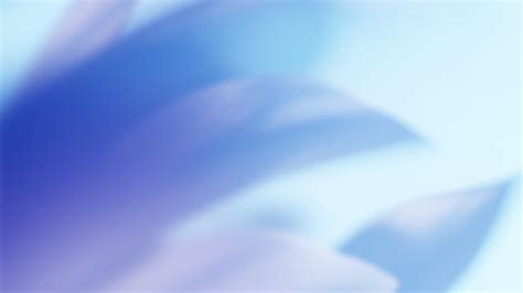 சமீபத்திய Mixpanel பாதுகாப்பு சம்பவம் பற்றி தெரிந்து கொள்ள வேண்டியது ...