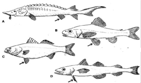Types 的图像结果