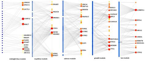 An Integrative Systems Biology Approach Identifies Molecular Signatures ...
