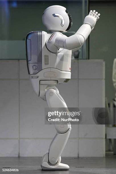 Asimo Design 的图像结果
