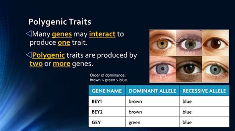 PPT - Unit 5: Heredity PowerPoint Presentation, free download - ID:8762697