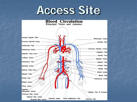Image result for Cath Lab Tests