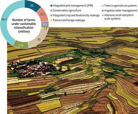 Intro to Farming Systems 的图像结果