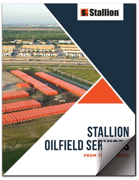 Stallion: From these roots | BOSS Magazine