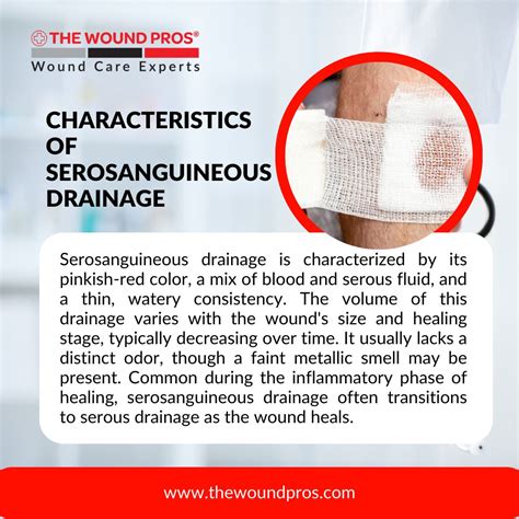 Serosanguineous drainage: How to prevent it | Wound Pros Management ...