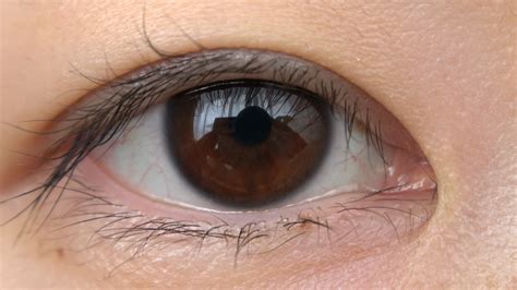 Japanese No Eyes at Erin Hammonds blog