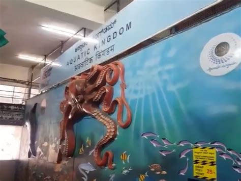 Railways' first movable freshwater tunnel aquarium opens for public at ...