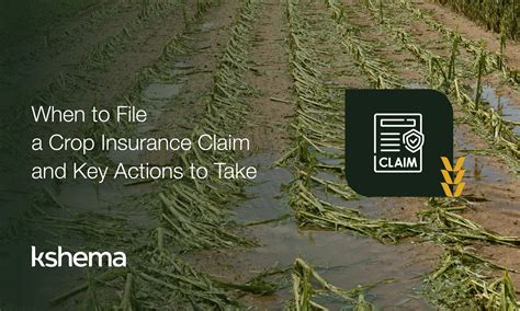 Image result for Crop Insurance Claims