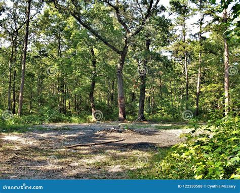 Devil`s Tramping Ground stock photo. Image of barren - 122330588