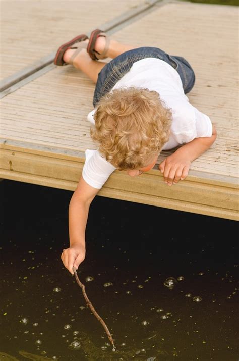 Fish Swim Behavior 的图像结果