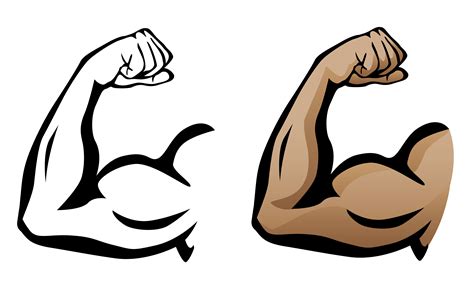 Muscular Arm Flexing Bicep Vector Illustration 373376 Vector Art at ...