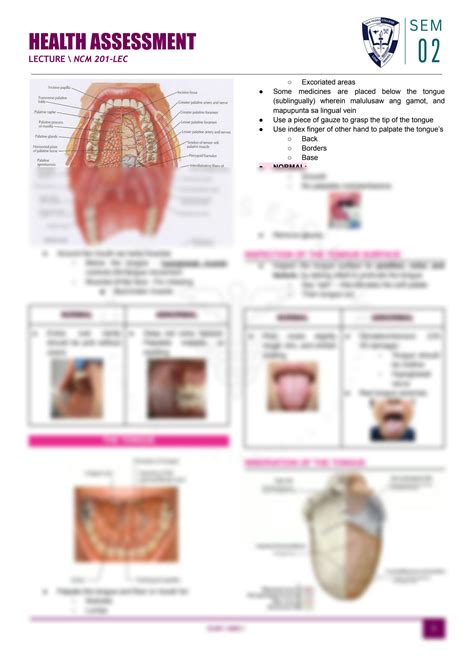 SOLUTION: ANATOMY OF THE ORAL CAVITY AND OROPHARYNX - Studypool