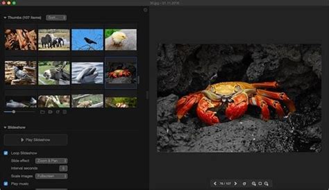 Los 10 mejores visores HEIC para Windows y Mac