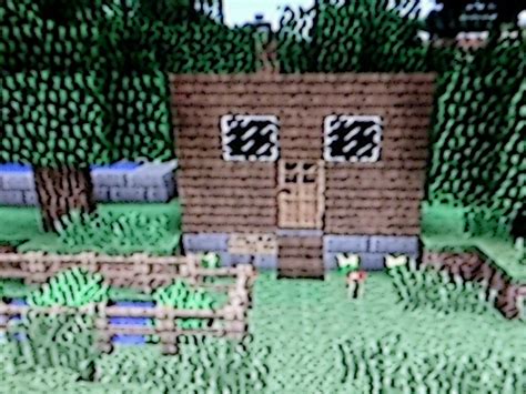 Image result for Simple Minecraft House Back Yard