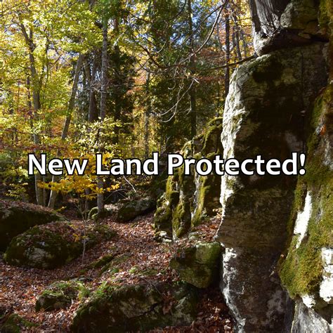 Nelson Woodland Natural Area a Hidden Escarpment Sanctuary on ...