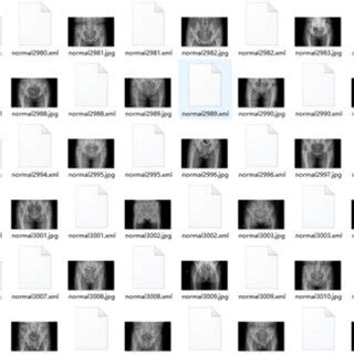 Image result for Raw PDF Data within JSON