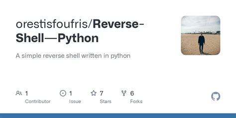 Python Reverse Shell 的图像结果