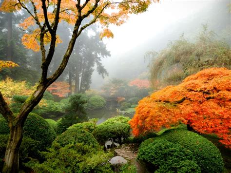 Japanese Garden Design: What Is A Japanese Garden