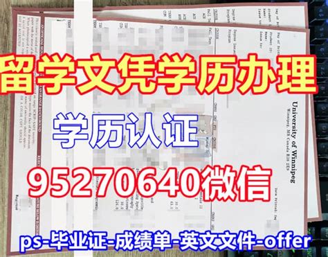 2020年11月辽宁成人学位英语成绩查询时间及查分入口【12月1日后】