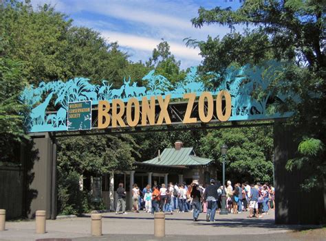 9 Mind-blowing Facts About Bronx Zoo - Facts.net