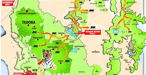 Tadoba Safari Booking, Tadoba Online Safari Booking - Online Safari ...