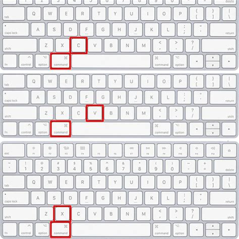 Image result for How to Paste On Computer