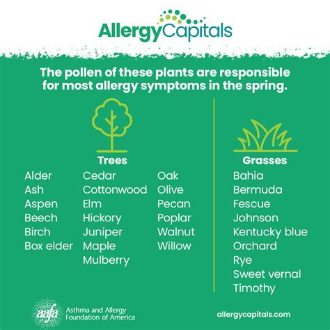 Grass Pollen Allergy | AAFA.org